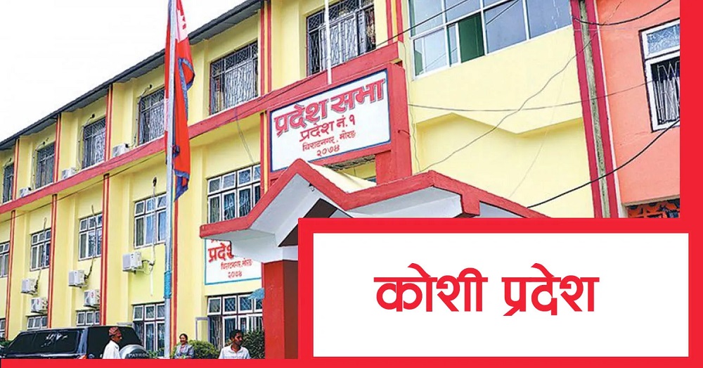 कोशी प्रदेशसभामा आर्थिक वर्ष २०८३/८४ को नीति तथा कार्यक्रममाथि छलफल सुरु