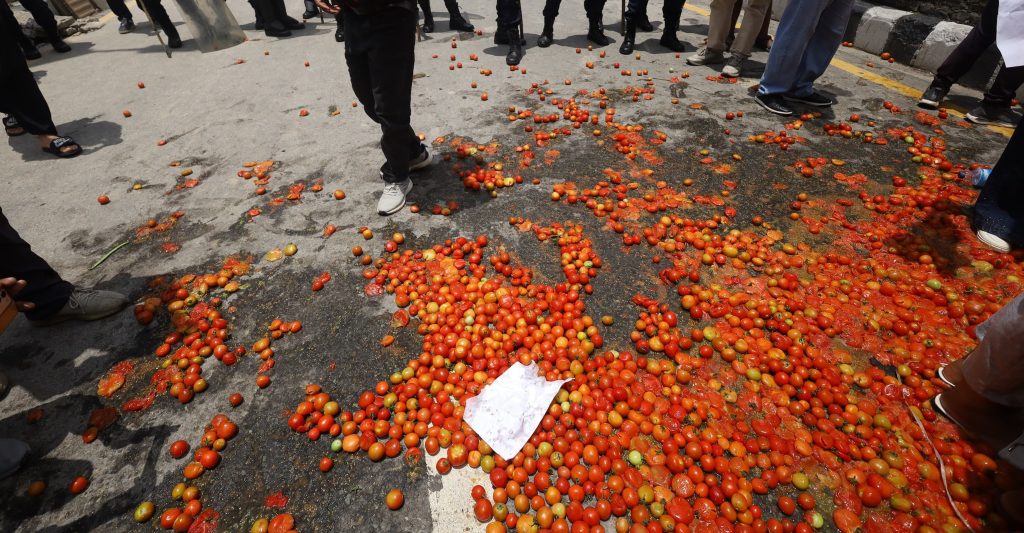 कृषि बिमा र समर्थन मूल्यको माग गर्दै माइतीघरमा किसानको विरोध