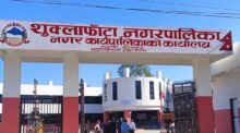 वन संरक्षणसँगै आम्दानीमा जोड, वातावरण सामुदायिक वनले कमायो ७४ लाखभन्दा बढी