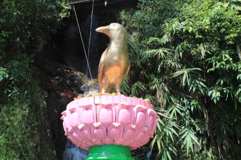 कागेश्वरी महादेव मन्दिरमा भक्तजनको घुइँचो, काग दोषबाट मुक्त हुने धार्मिक विश्वास