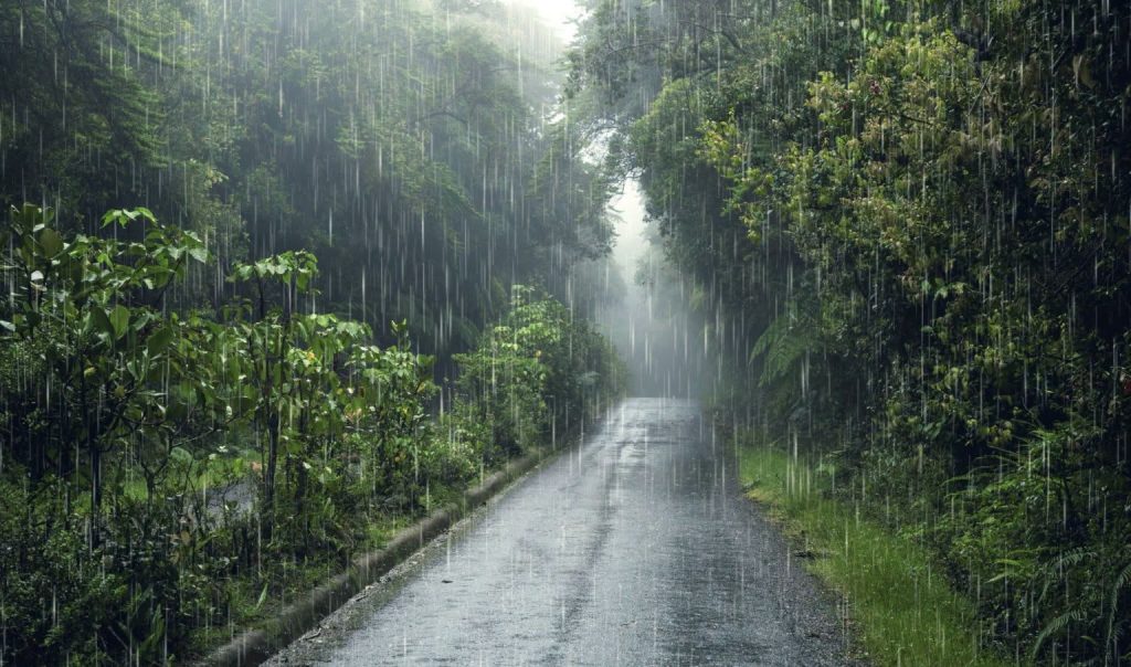 बागमतीमा तीन दिन भारी वर्षाको पूर्वानुमान, बाढी–पहिरोको जोखिम