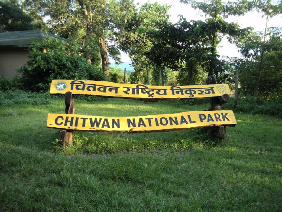 चितवन राष्ट्रिय निकुञ्जमा ई–टिकटिङ प्रणाली सुरु, अब घरबाटै टिकट काट्न सकिने